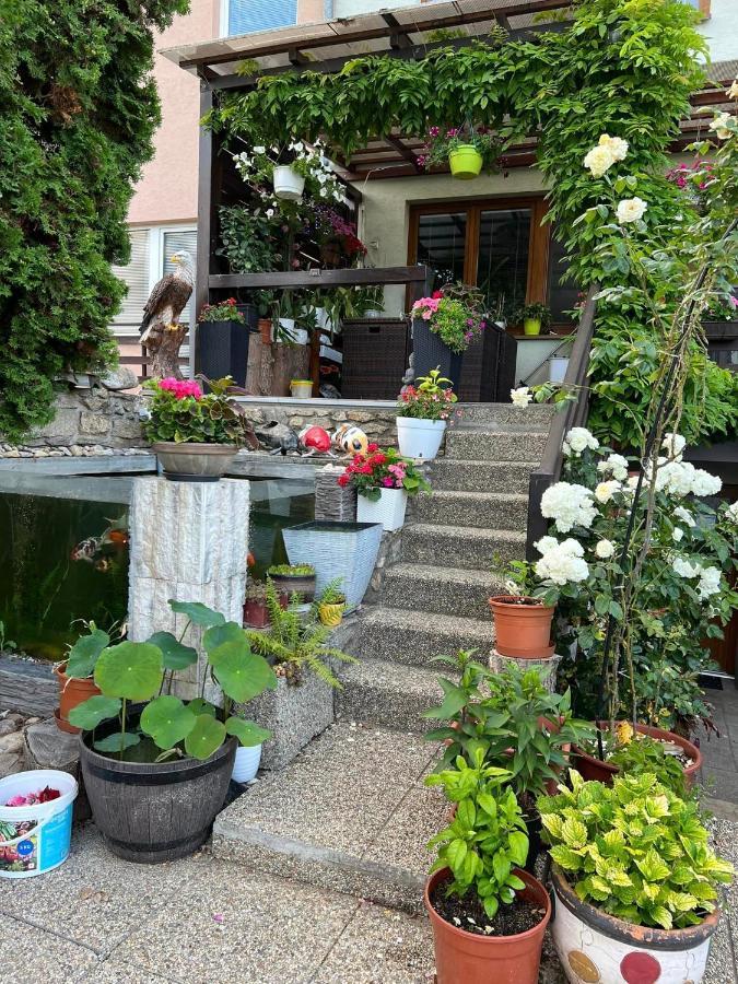 Ubytovani Na Hrazi 91 Znojmo Εξωτερικό φωτογραφία